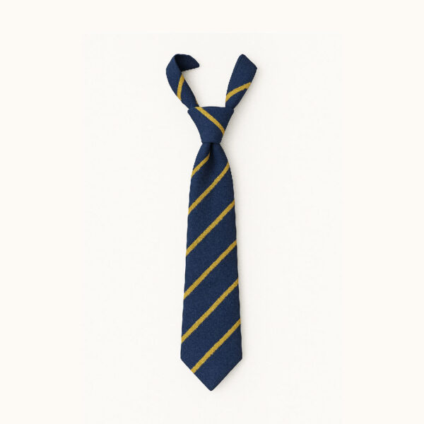 Limavady Central Primary School Tie - Elasticated